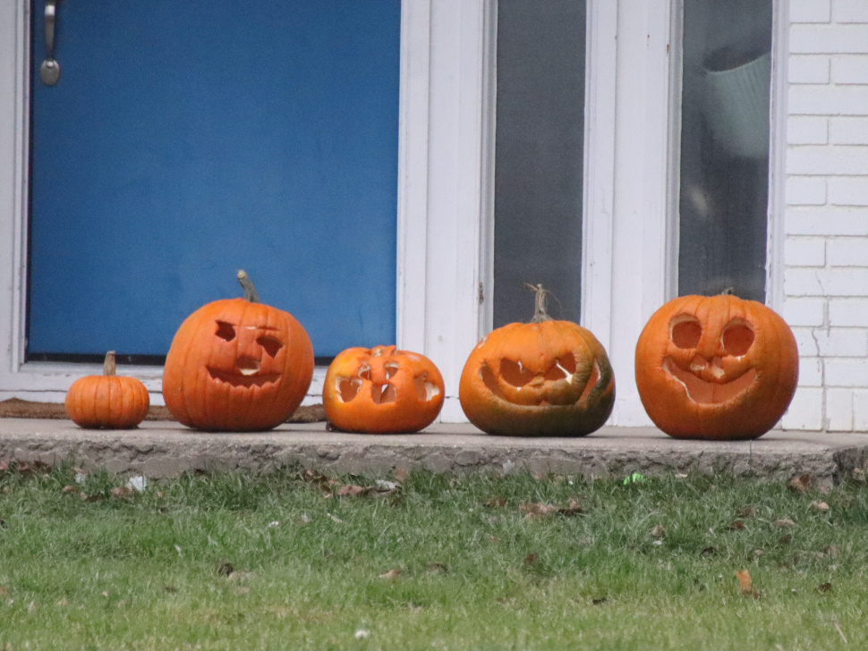 What's the proper way to dispose of jacko'lanterns